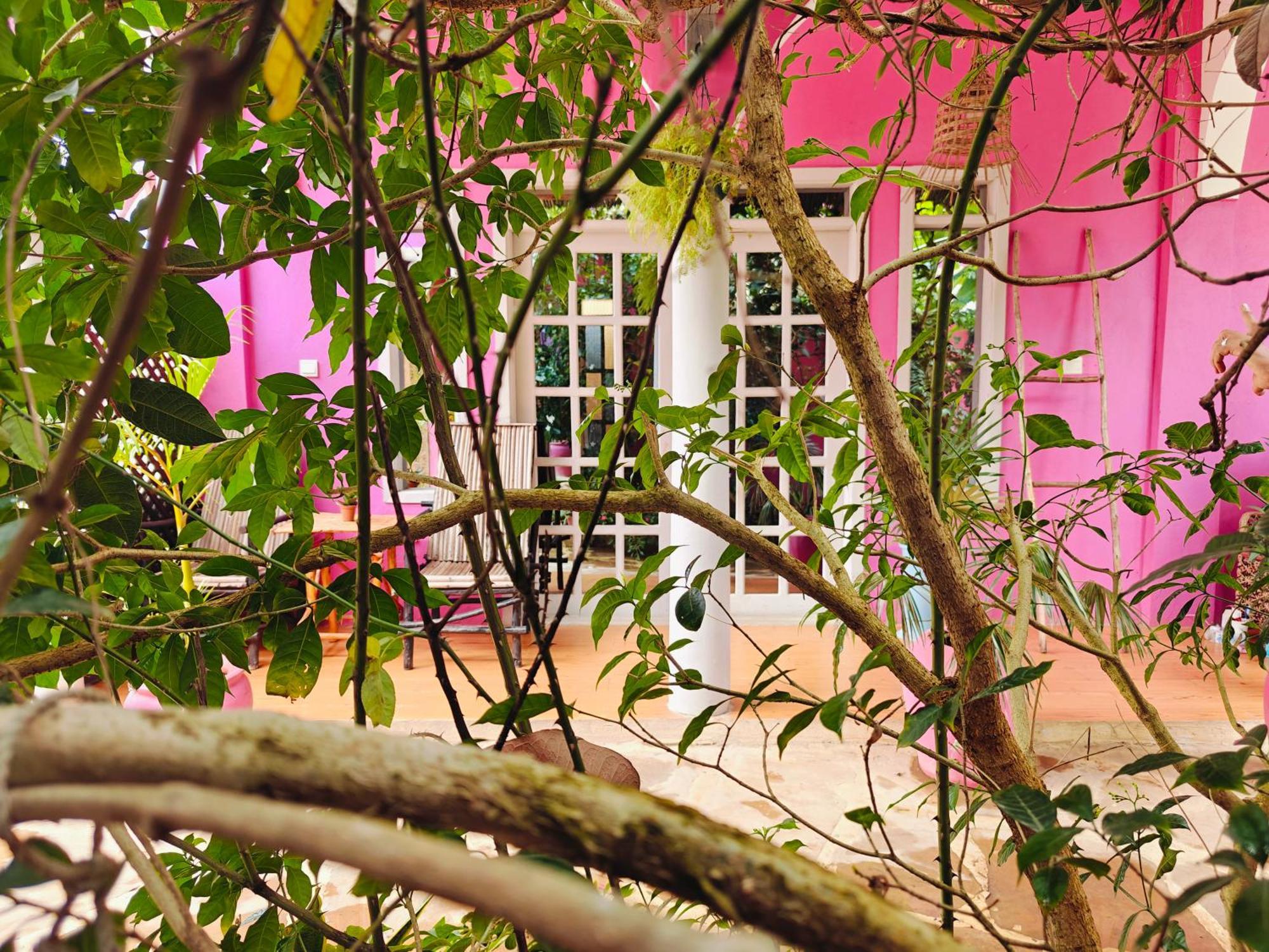 Nungwi Roses Vila Exterior foto